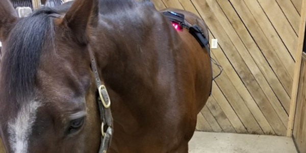 Science lesson: pony laser beams!